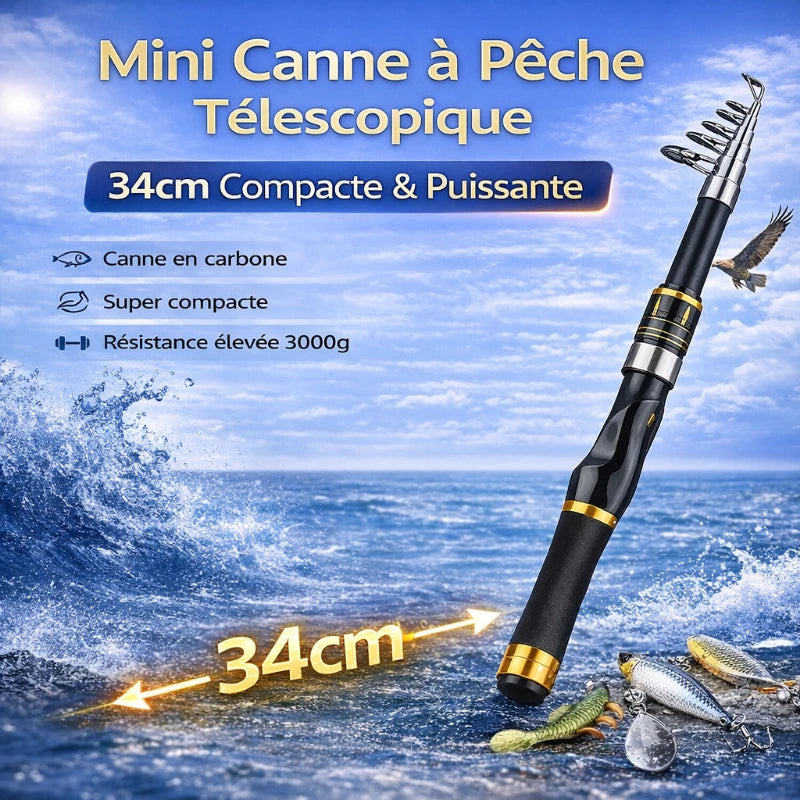 Canne à pêche télescopique carbone avec moulinet spinning pour la pêche au bar en mer, canne compacte et transportable