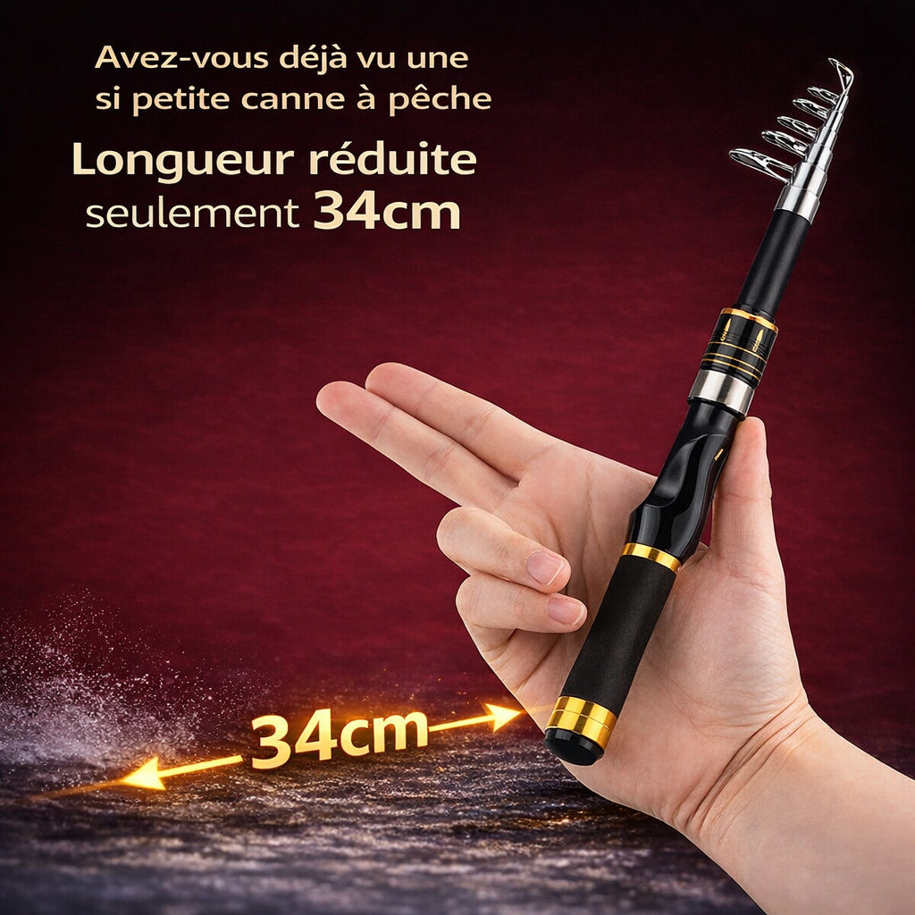 Canne à pêche télescopique compacte 34 cm repliée avec moulinet spinning, idéale pêche en mer et rivière